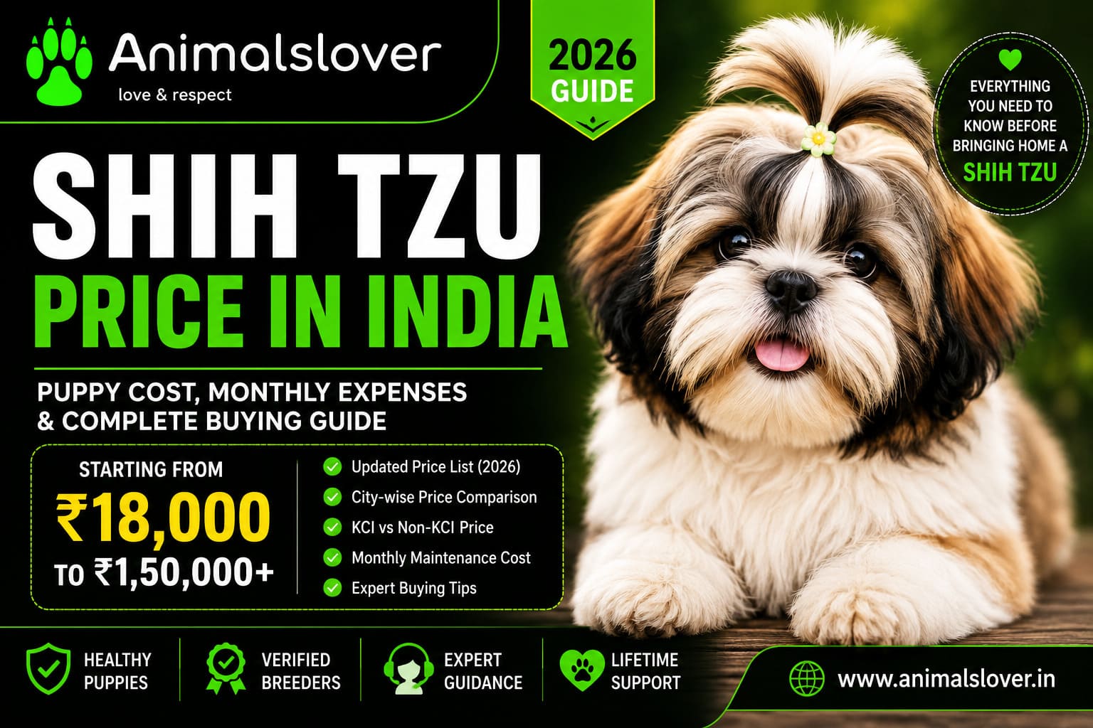 Shih Tzu Price in India 2026: Puppy Cost, Monthly Expenses & Complete Buying Guide