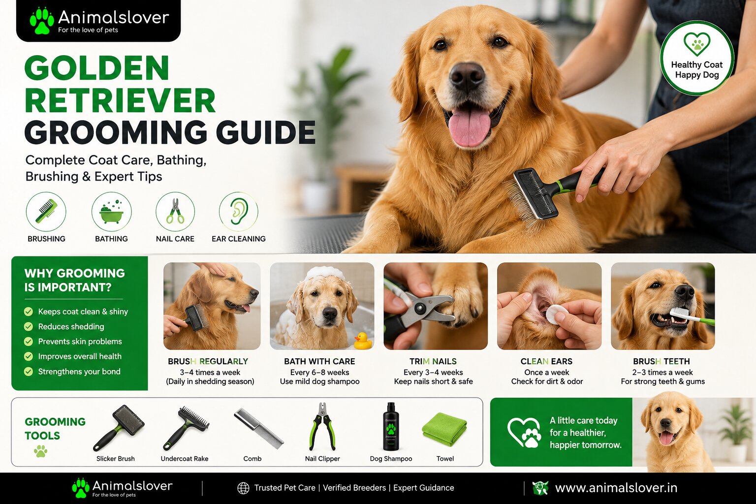 Golden Retriever Grooming Guide 2026: Complete Coat Care, Bathing, Brushing & Grooming Tips