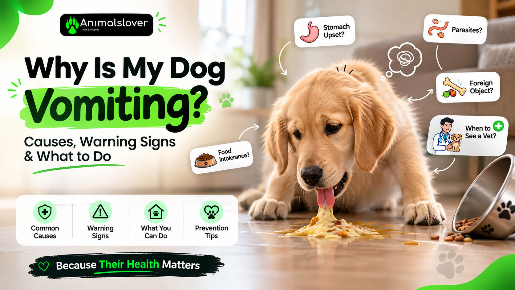 Why Is My Dog Vomiting? Causes, Warning Signs & What to Do