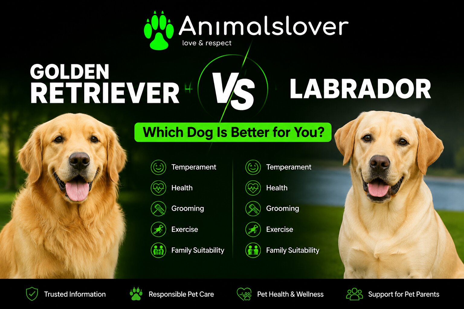 Golden Retriever vs Labrador: Which Dog Is Better for You?