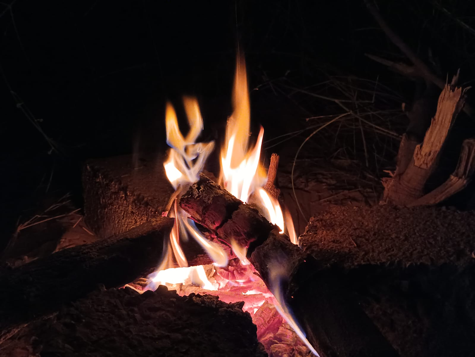 Bonfire