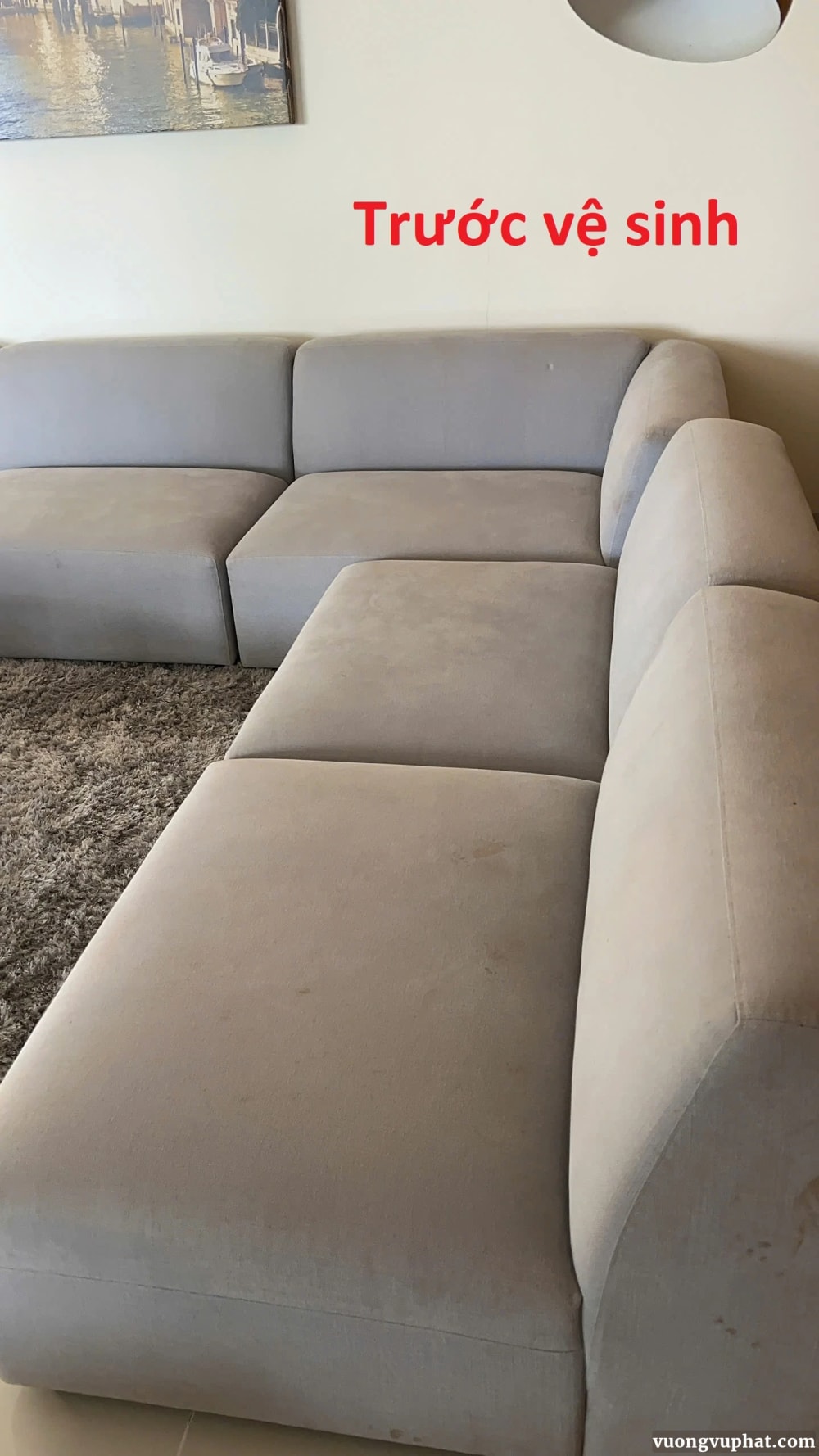 Ảnh trước vệ sinh sofa ở Công ty Nông Nghiệp, Phạm ngủ lão nối dài BMT