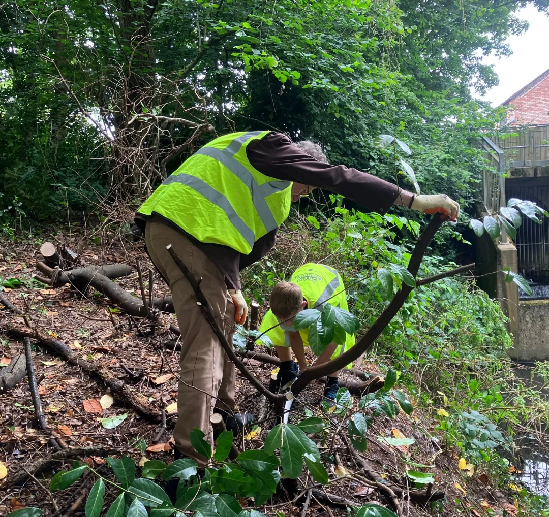 Two people working on a tree