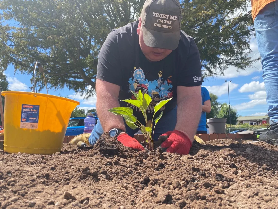 Man planting a plant