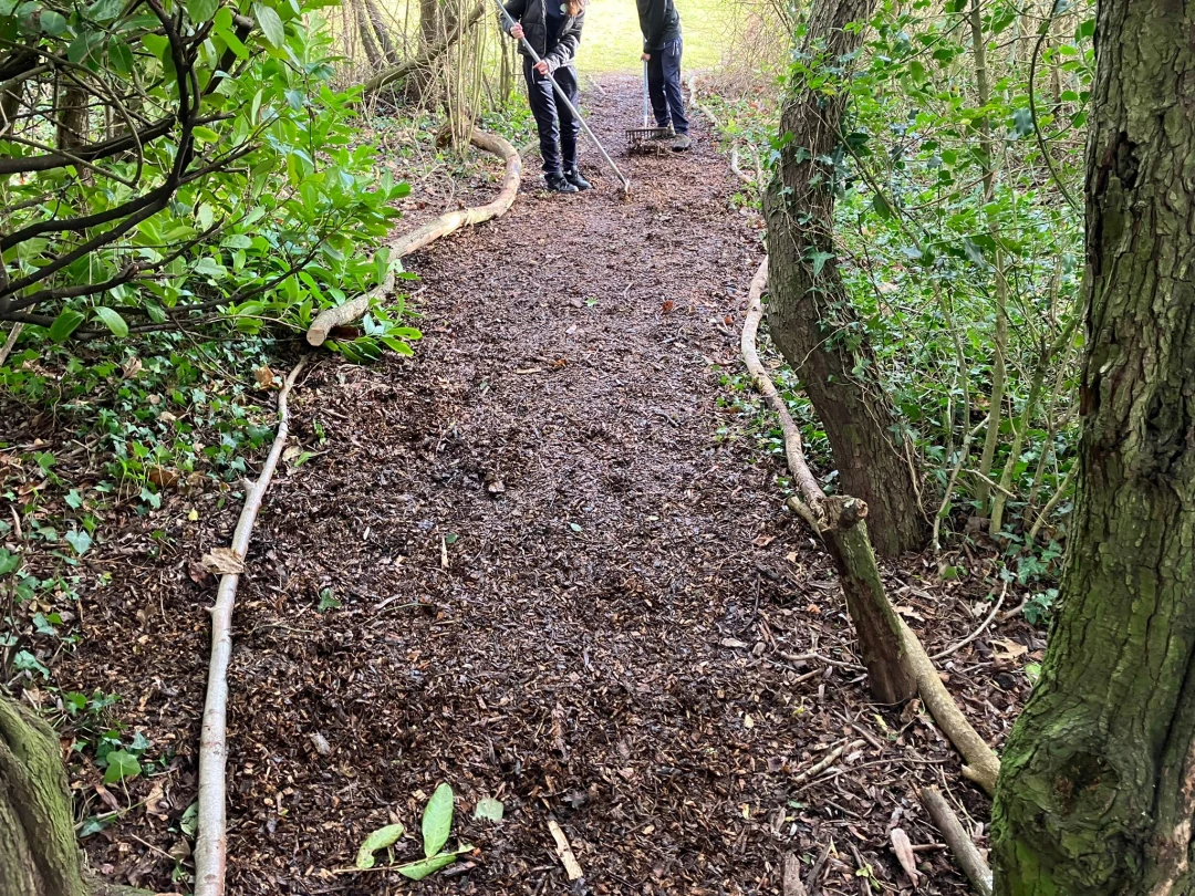 Path through a woodland