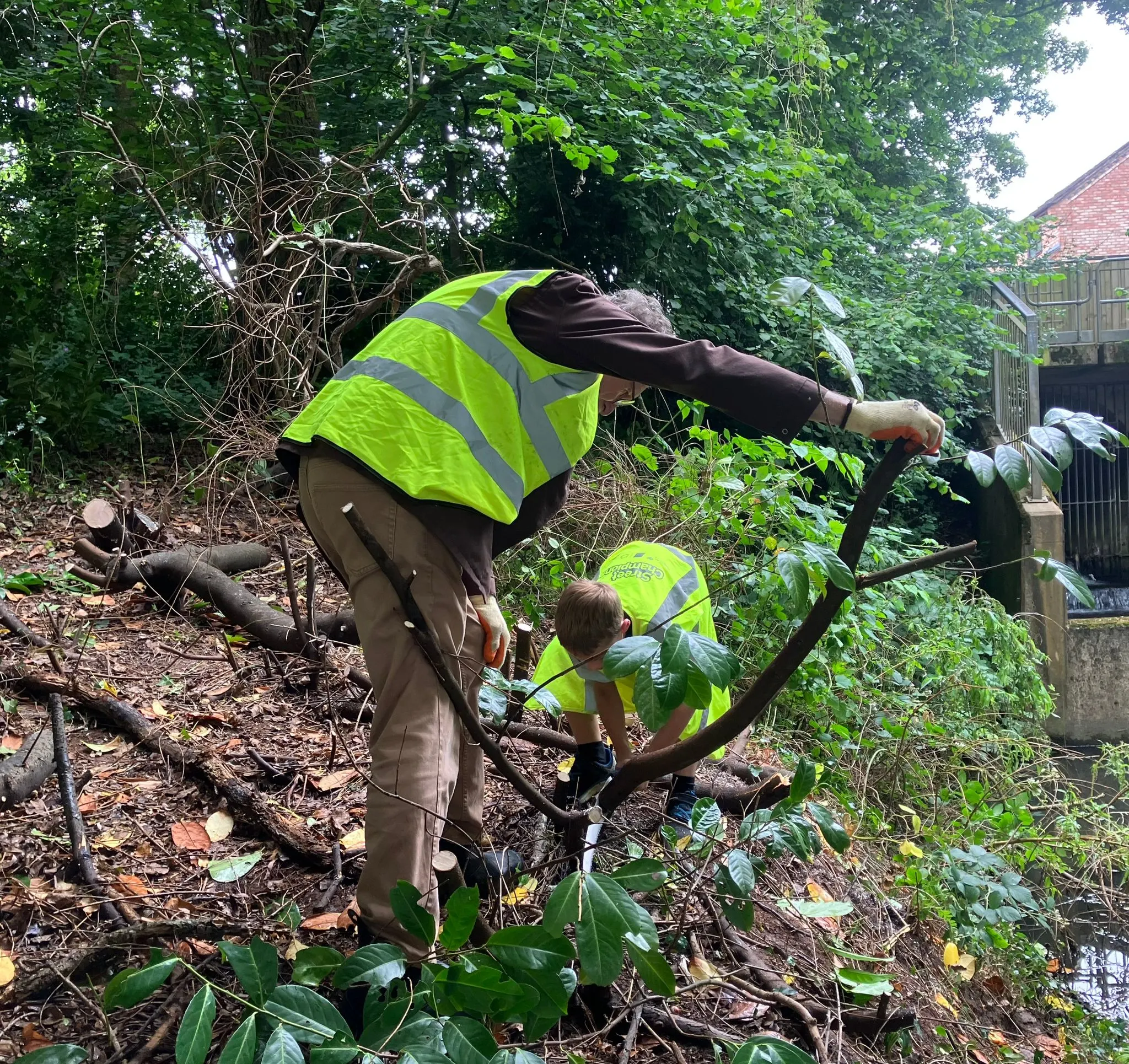 Two people working on a tree