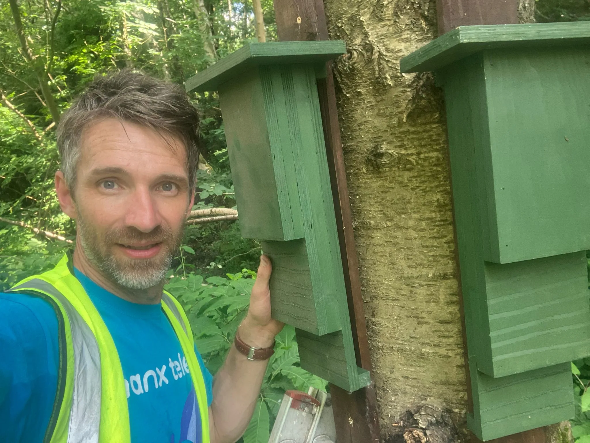 Man next to a tree with bat boxes