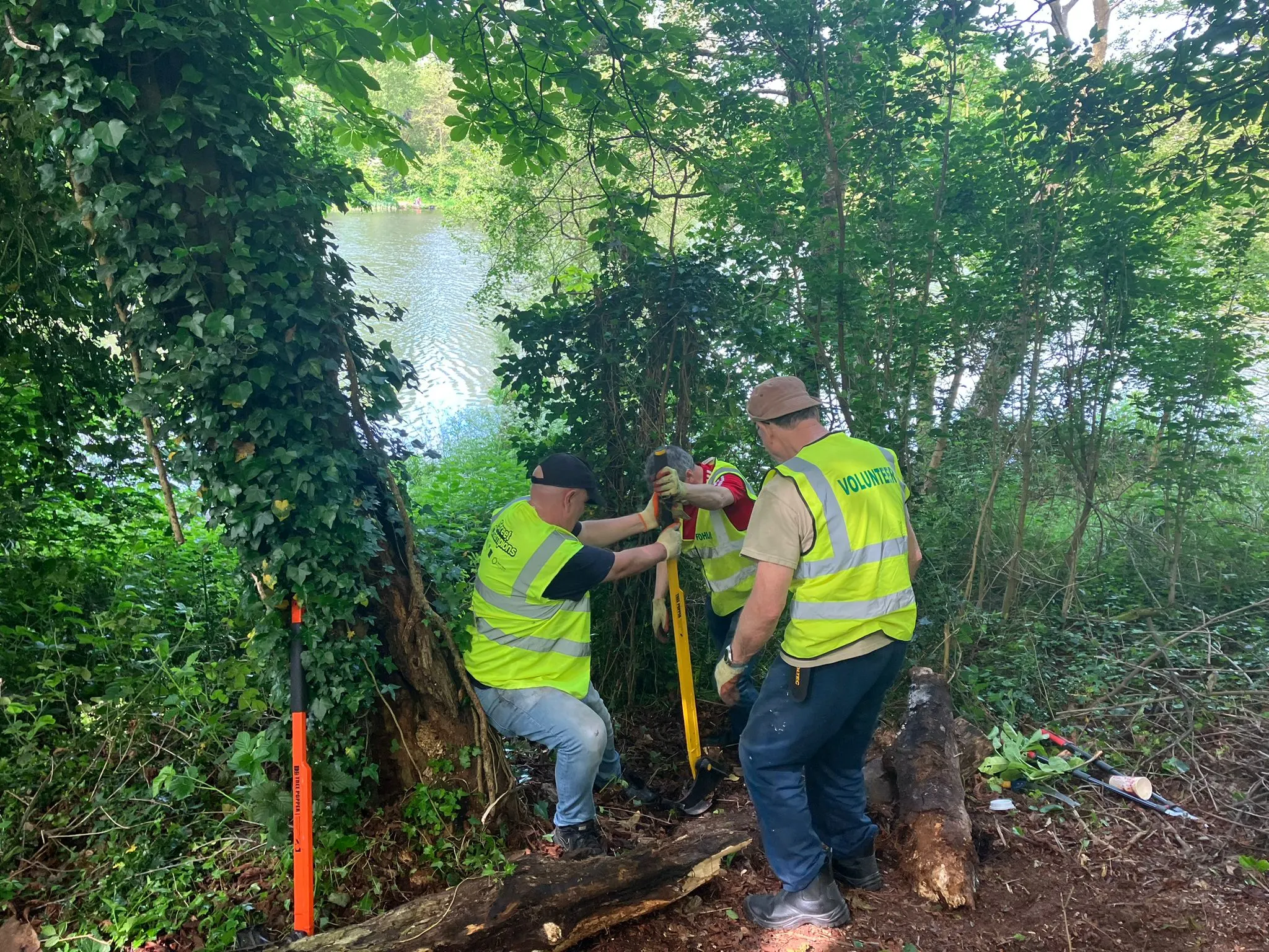 Men digging a tree