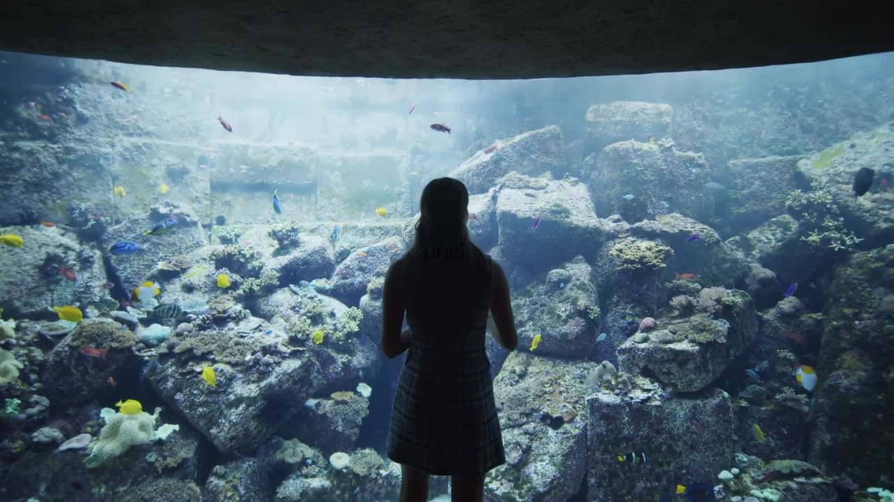 Stock Footage of Girl in Aquarium preview
