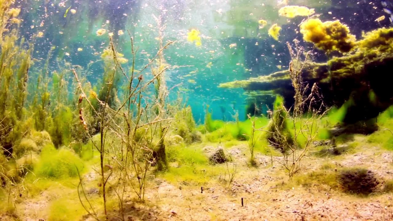 Stock Video of Under Water preview