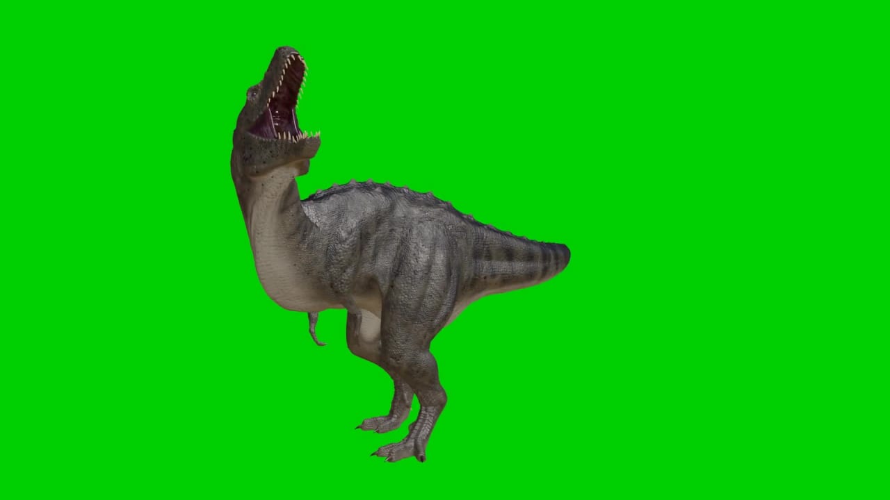 Big Dinosaur Free Green Screen preview