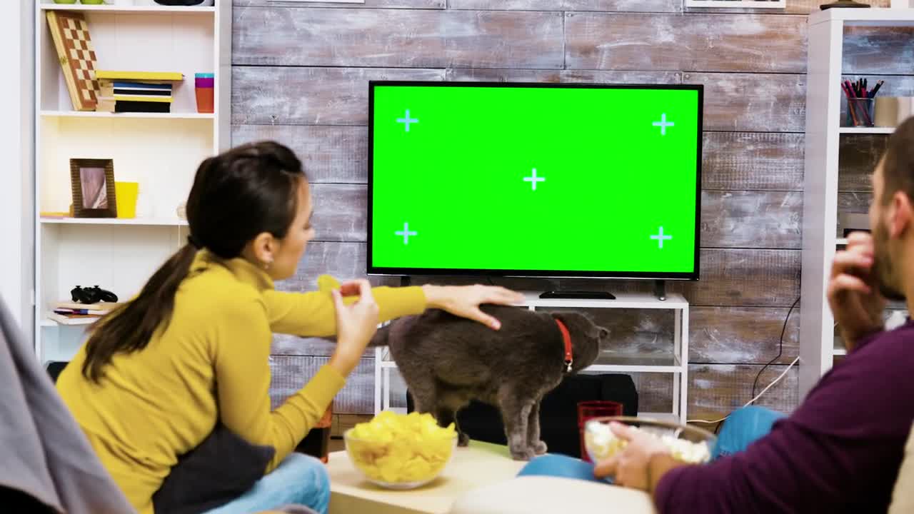 Couple Playing with a Cat Free Green Screen preview