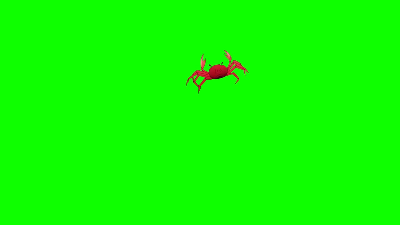 Crab on Green Screen preview