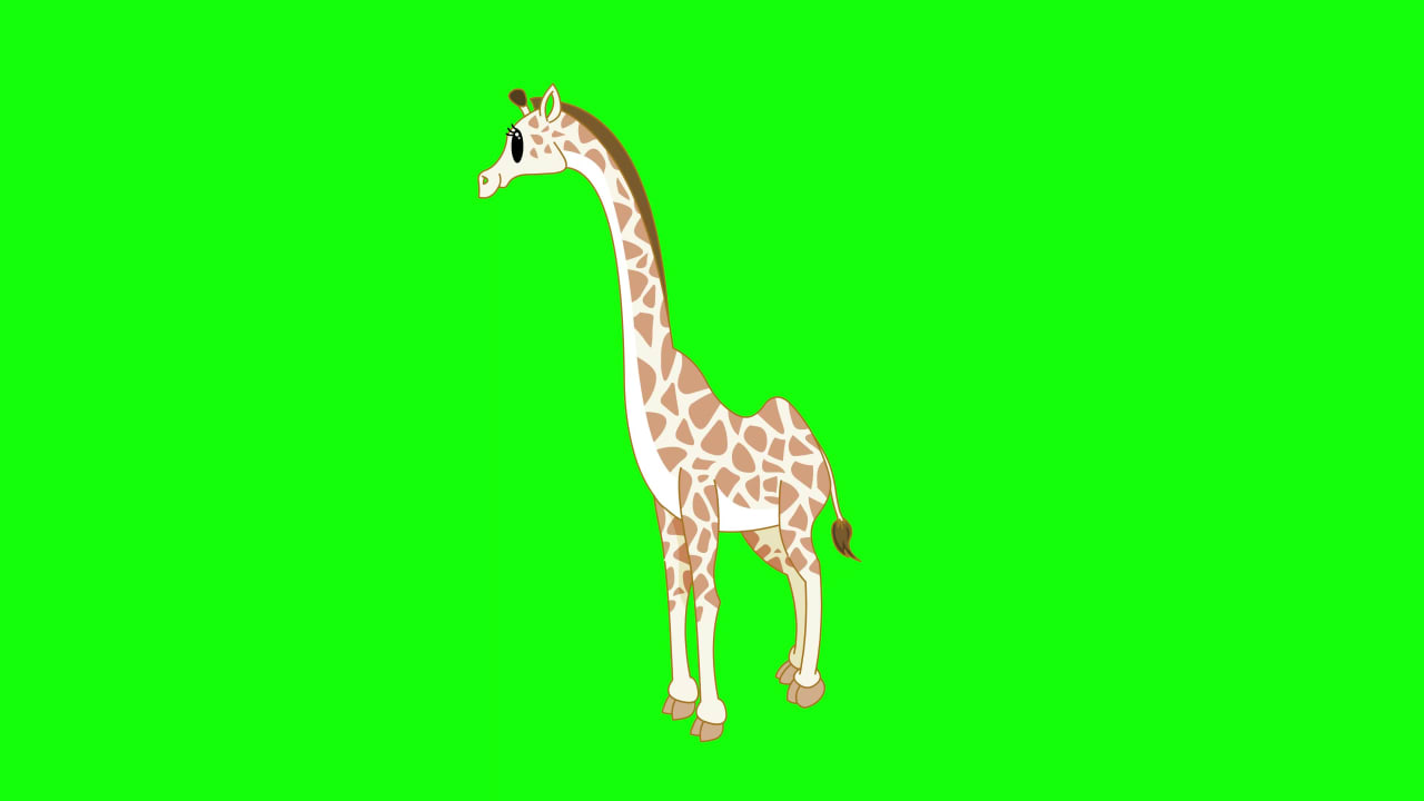 Giraffe Free Green Screen preview