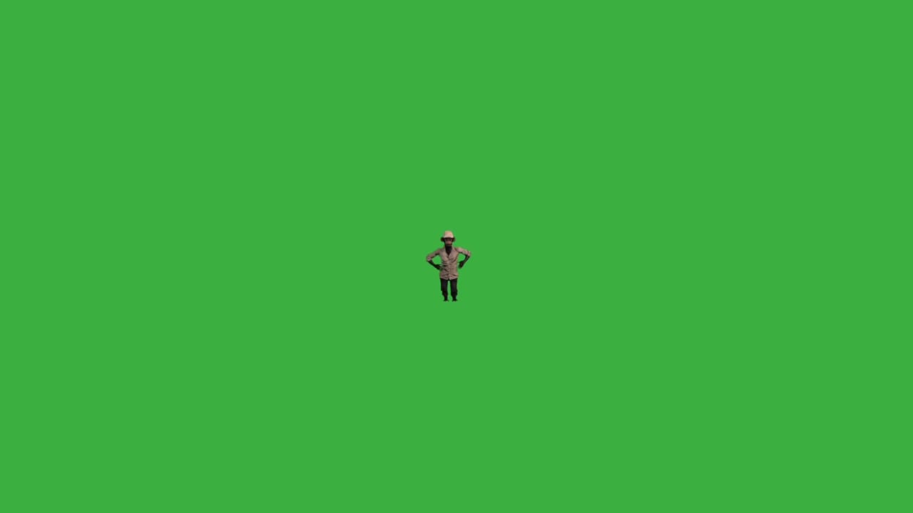 Monkey Dancing on Green Screen preview