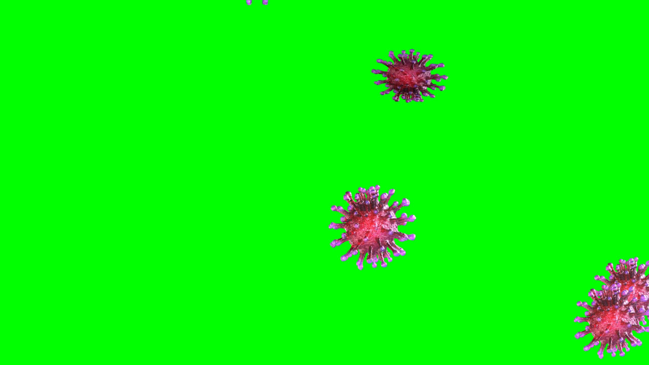 Covid 19 Virus Free Green Screen preview