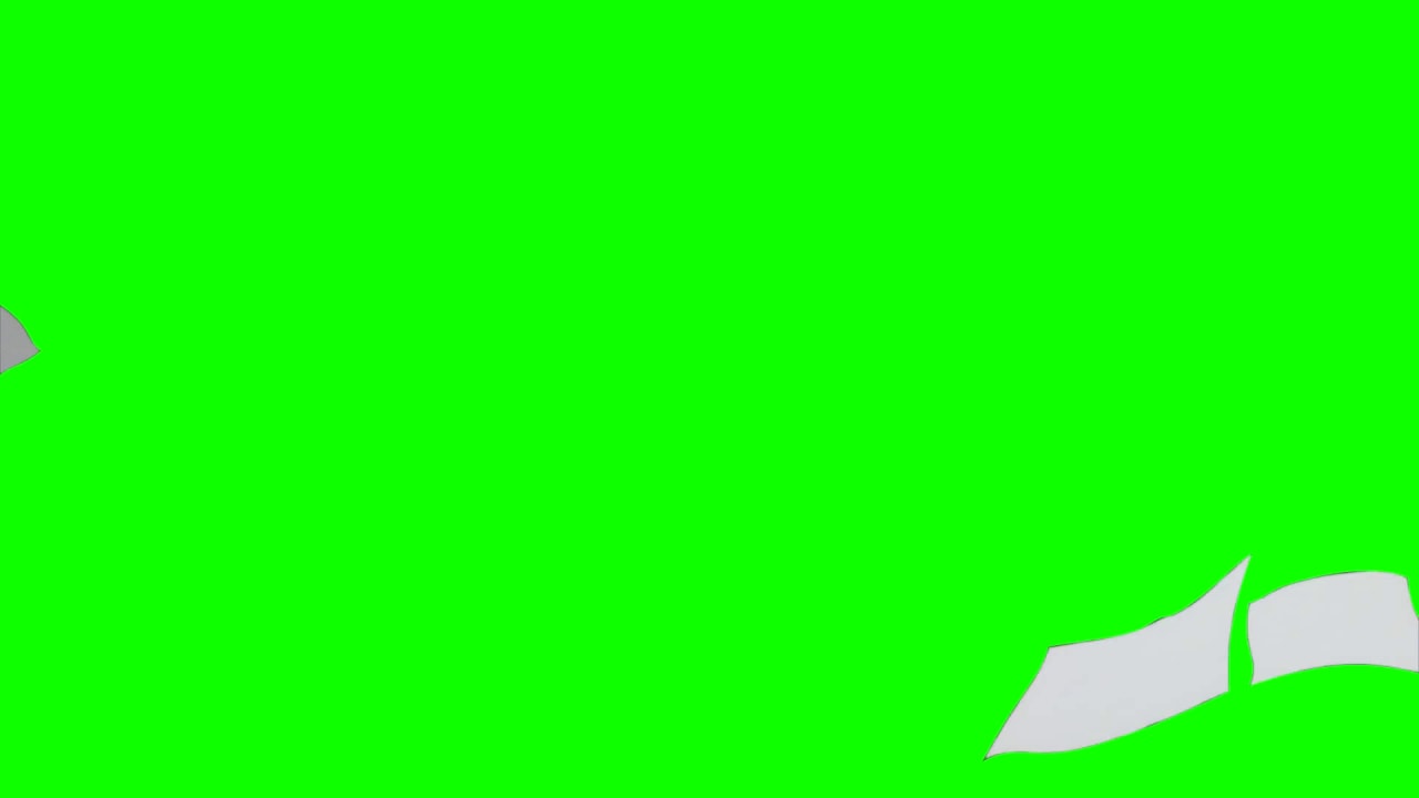 Paper Fly on Green Screen preview