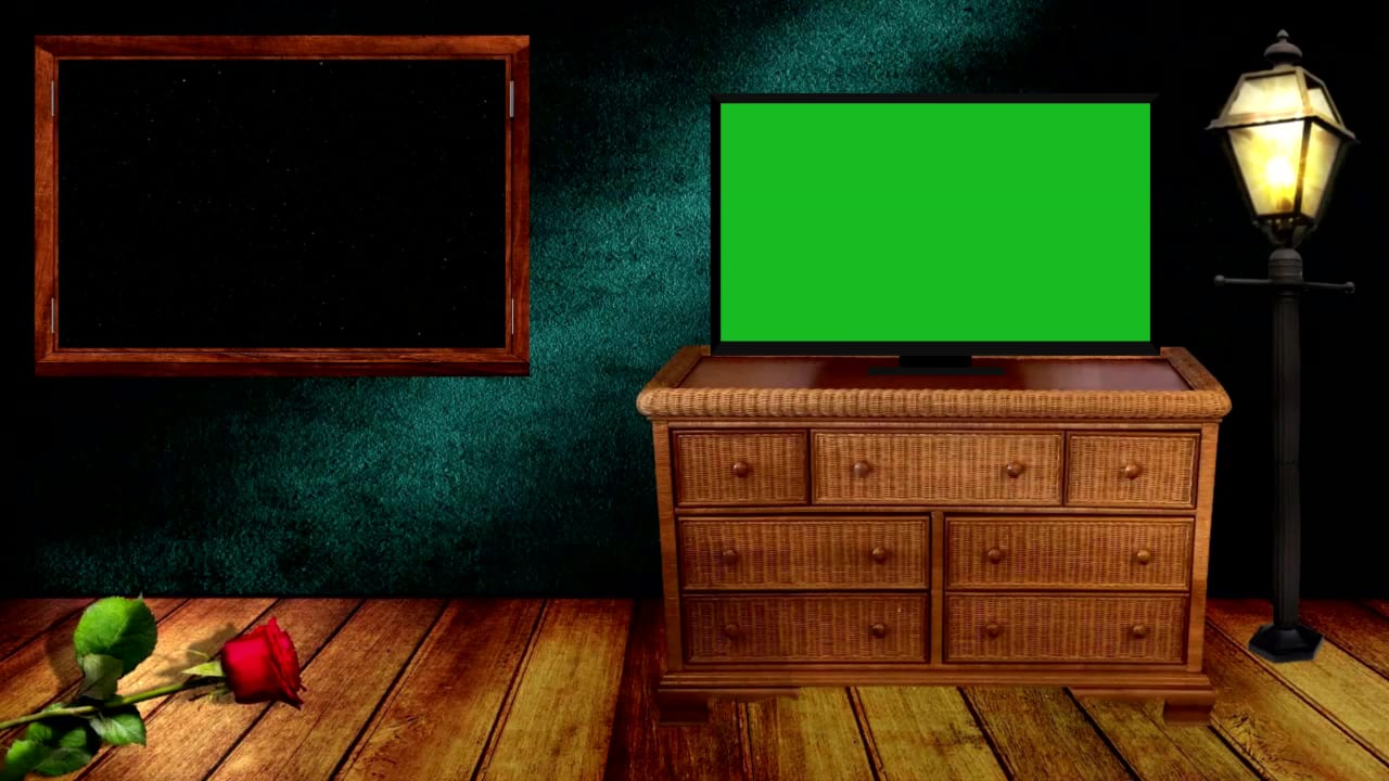 Lcd Hanging on a Horror Wall preview