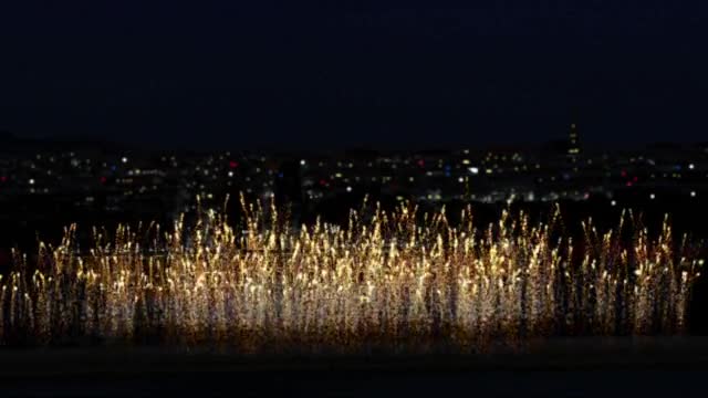 Happy new year with fireworks and controlled explosion preview