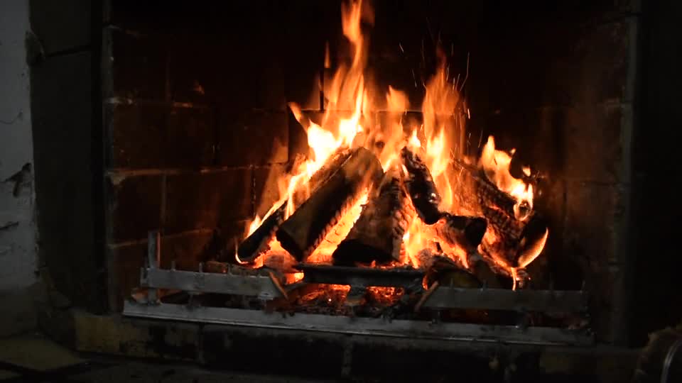 Beautiful video of burning wood preview