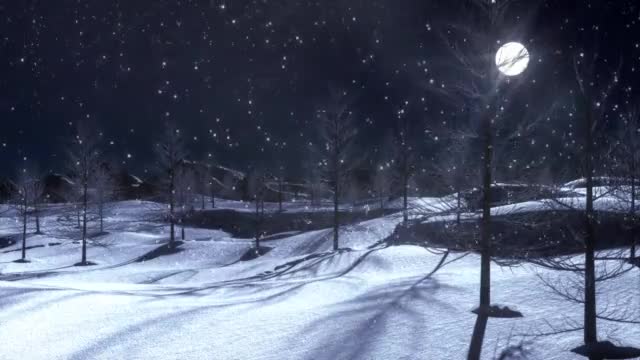 Stock footage of snow falls in park preview