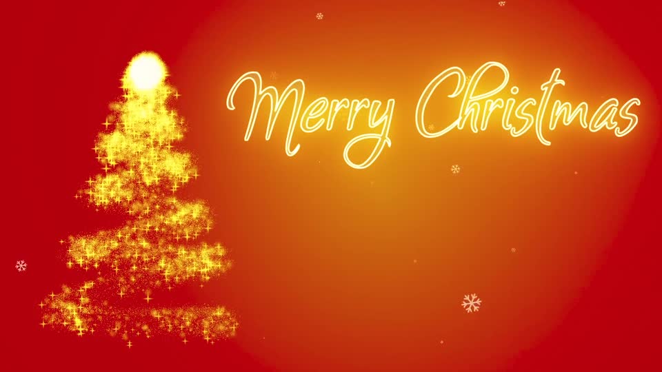 Stock footage of snow in christmas tree preview