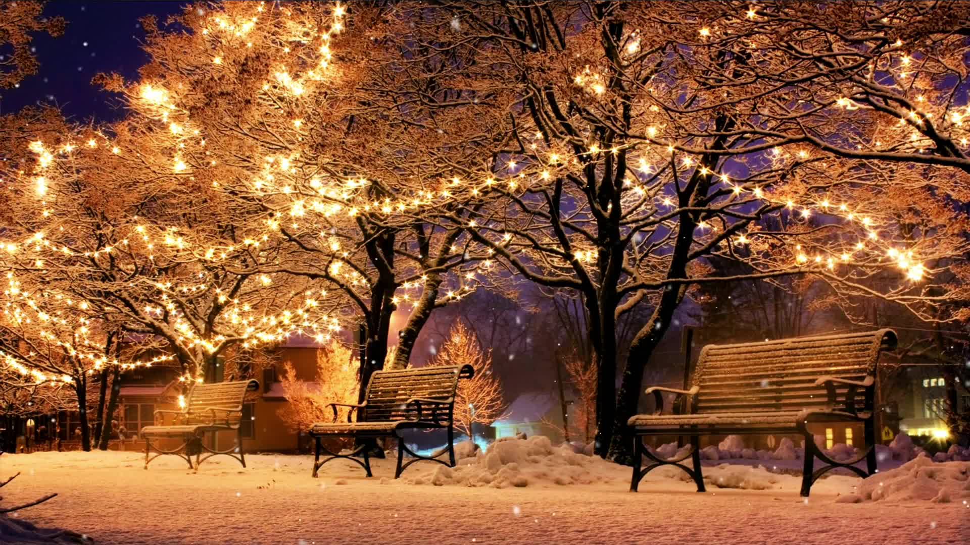 Stock footage of new year night scene of park preview