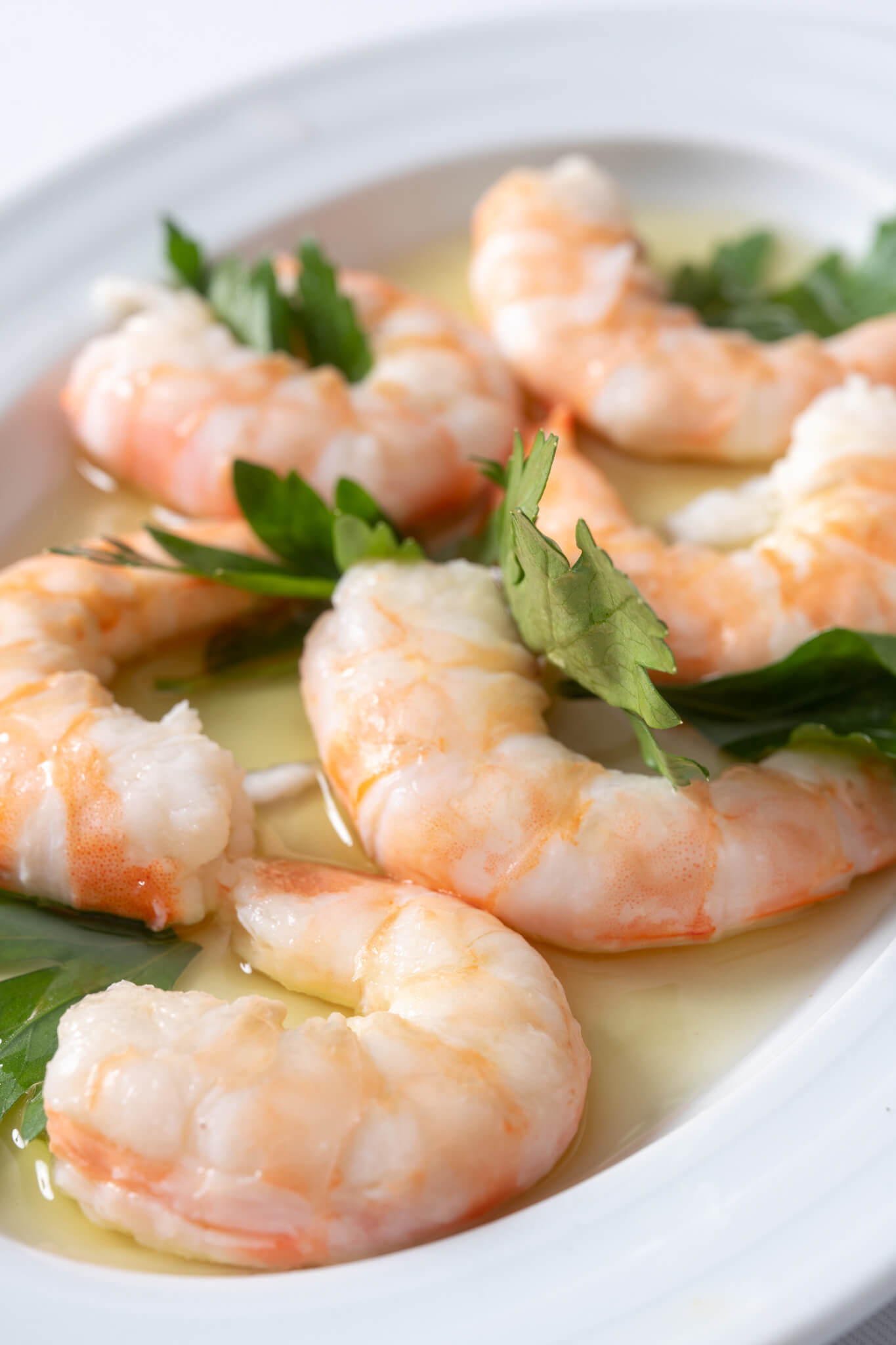 Ceviche Shrimp