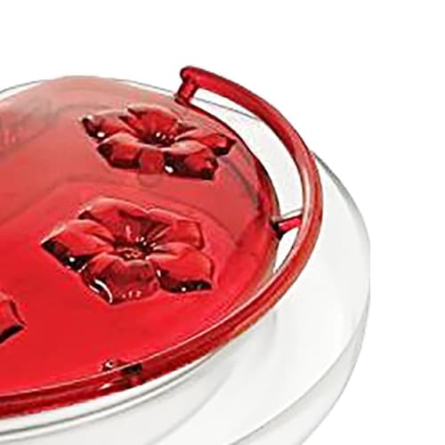 Perches are just the right size for hungry hummingbirds