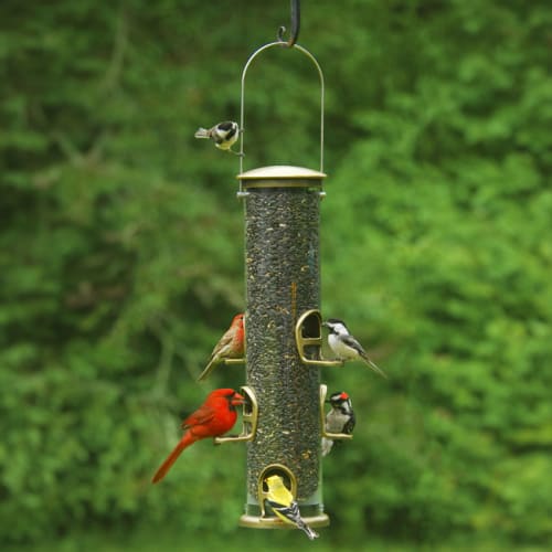 Brass colored bird feeder
