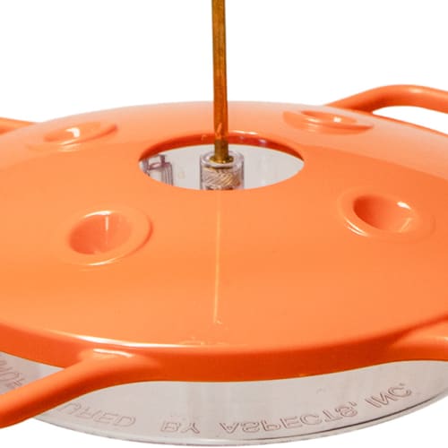 Ant moat and raised feeding stations for oriole feeding comfort