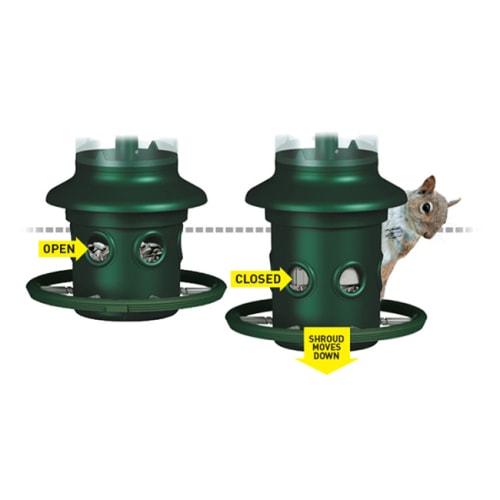 Close up of squirrel-proof technology