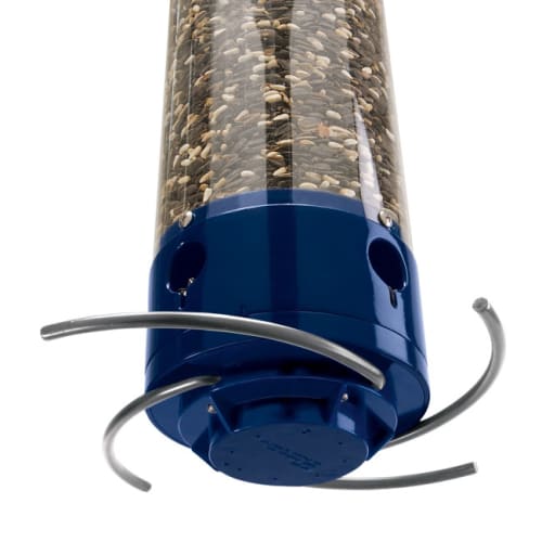 Bright blue accents on bird feeder