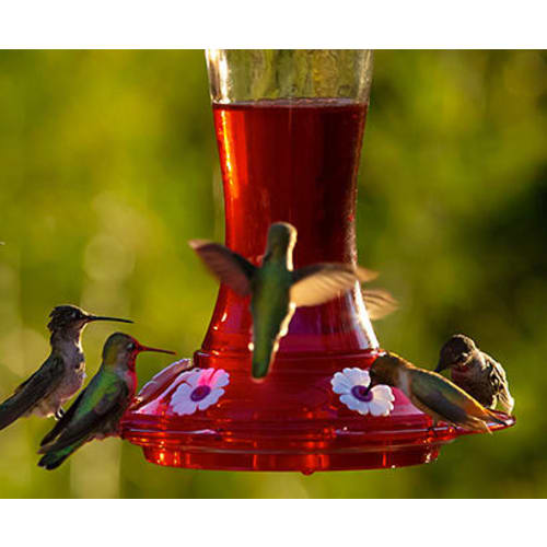 Five busy feeding ports