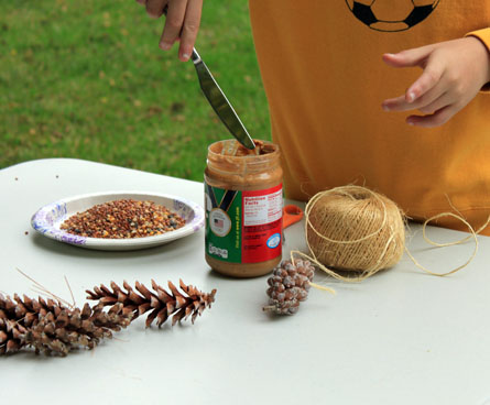 what you need to make a pinecone bird feeder