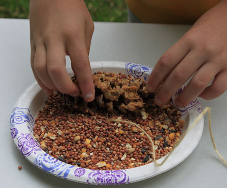 DIY bird feeder with peanut butter