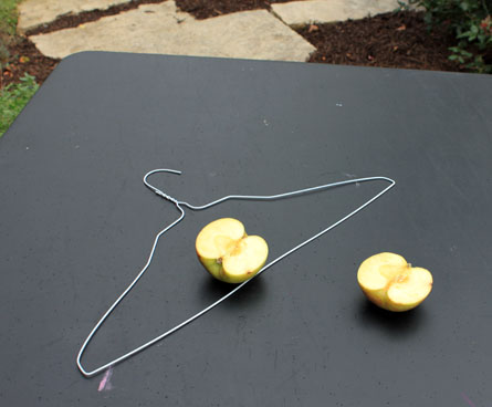 making a DIY fruit bird feeder