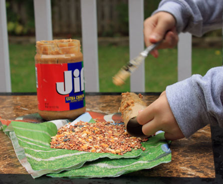 recycle cardboard to make bird feeder