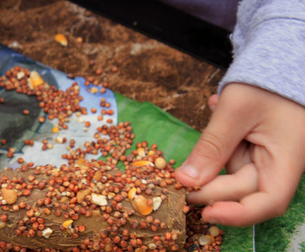 making a recycled paper bird feeder