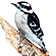 Downy Woodpecker