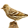 Pine Siskin