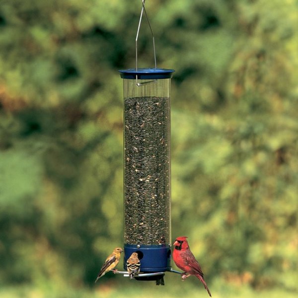 cardinal and goldfinch birds at a thistle seed feeder