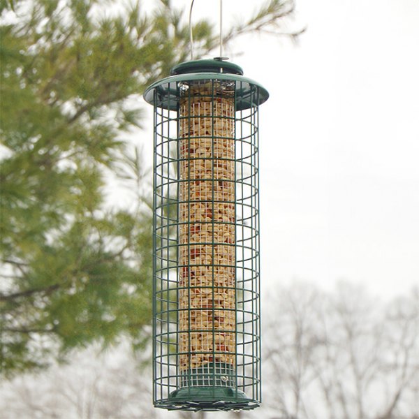 bird feeder packed with yummy peanuts