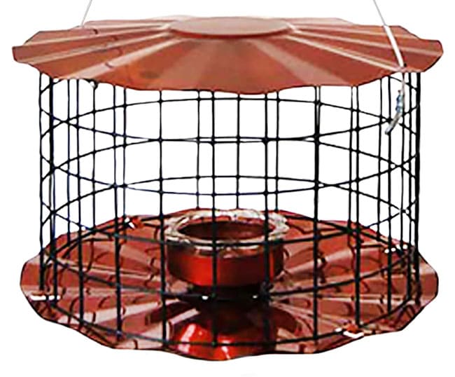 Bright orange squirrel-proof cage bird feeder