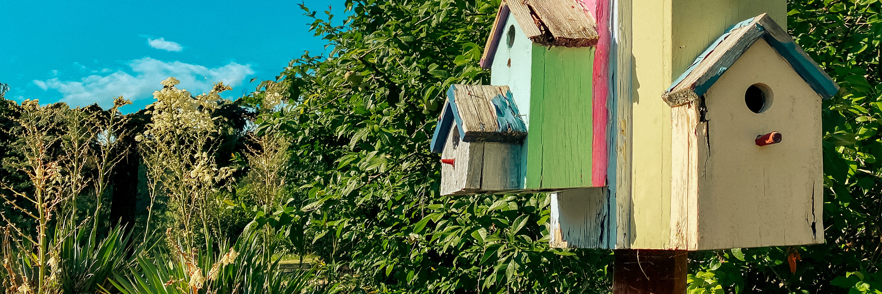 Lots of bird houses mounted on a post