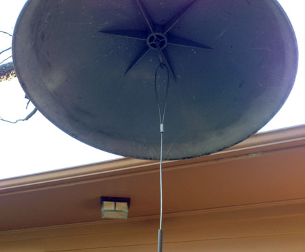 Hang a big black squirrel up to keep your bird feeder safe