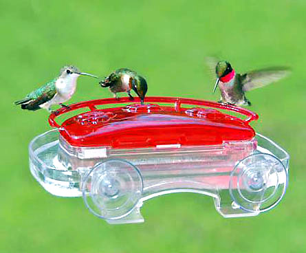 Hummingbirds drinking at a window-mounted hummingbird feeder