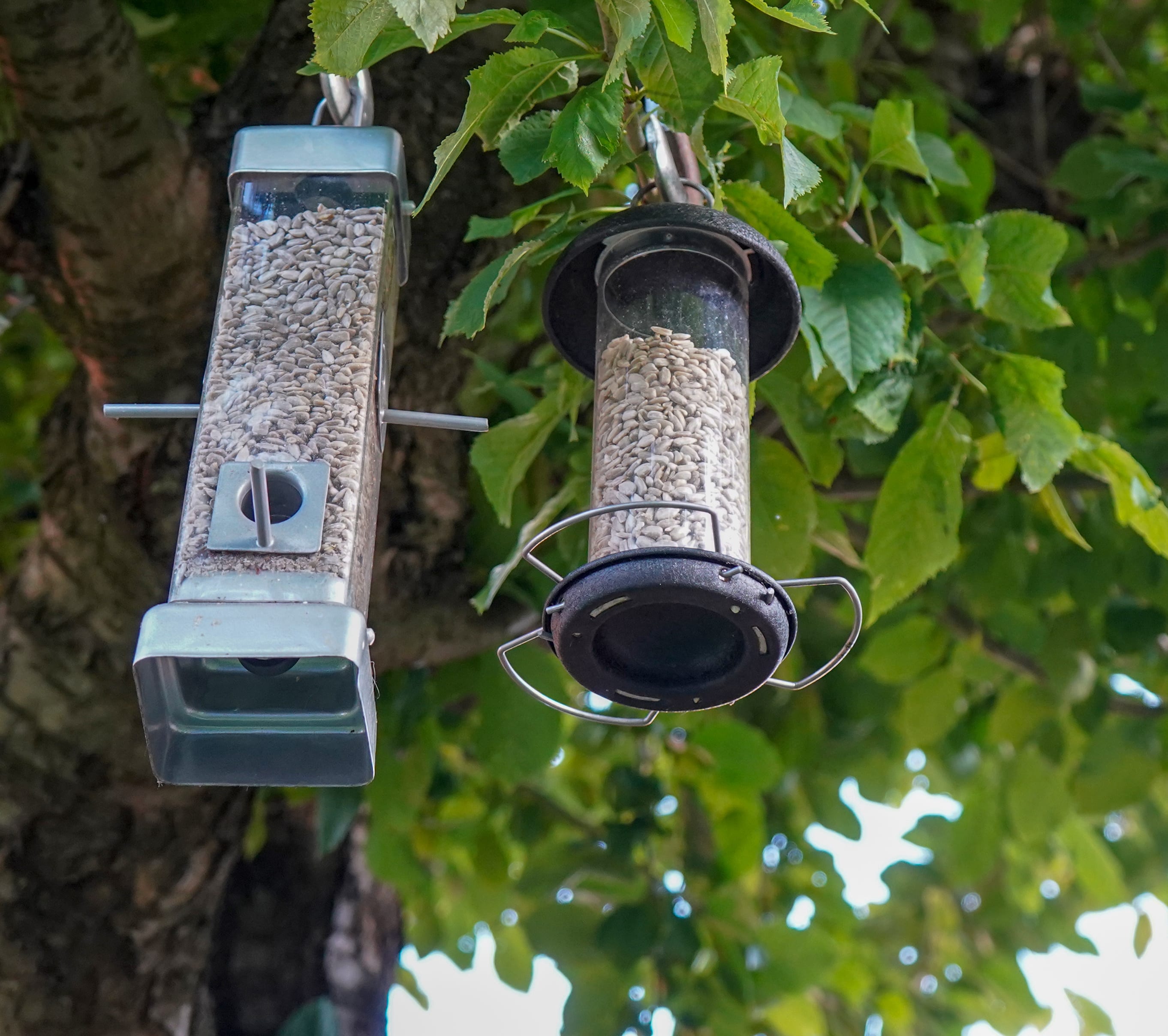 Tricks for hanging a bird feeder