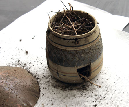 Dirty birdhouse that needs to be cleaned out