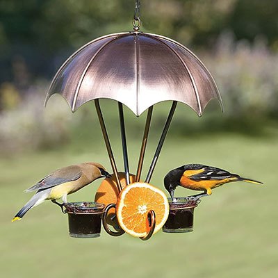 Beautiful and durable bird feeder with oranges and jelly for hungry oriole birds